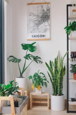 New Mate super quick dry